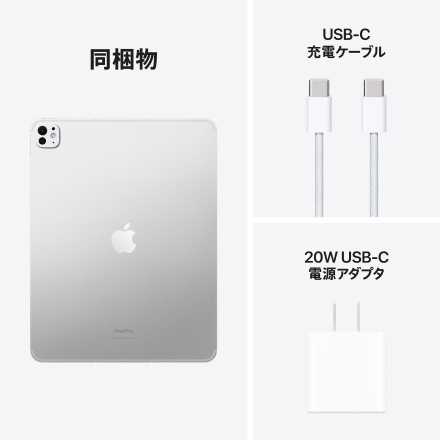 Apple iPad Pro 13インチ Wi-Fi + Cellularモデル 256GB（標準ガラス搭載）- シルバー with AppleCare+