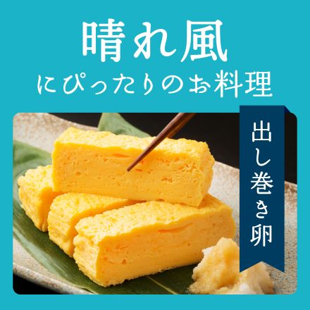 キリンビール 晴れ風 500ml 48本（24本×2ケース) 長S