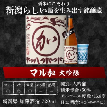 日本酒 大吟醸 飲み比べ セット 720ml 5本 酒 清酒 大吟醸酒 RSL