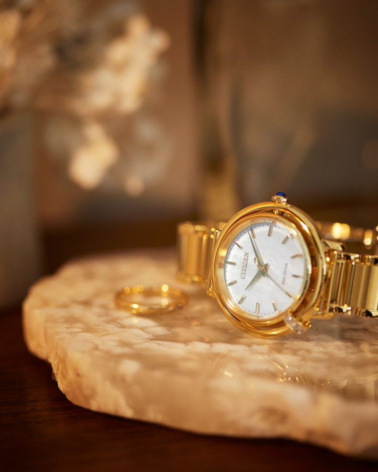 CITIZEN シチズン L エル ARCLY Collection アークリーコレクション EM1093-61D レディース 腕時計 光発電 エコドライブ 替えバンド付き サファイアガラス ステンレス 日常生活用防水