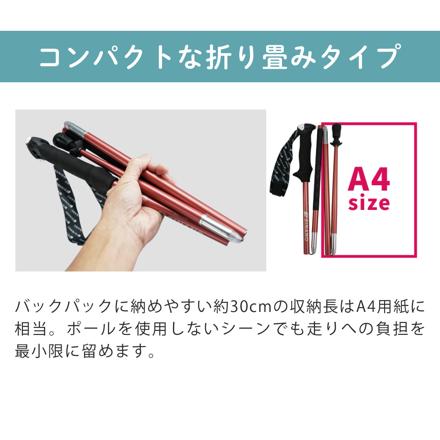 シナノ トレランポール 13.6 NEO レッド 100cm 550310 2本1組