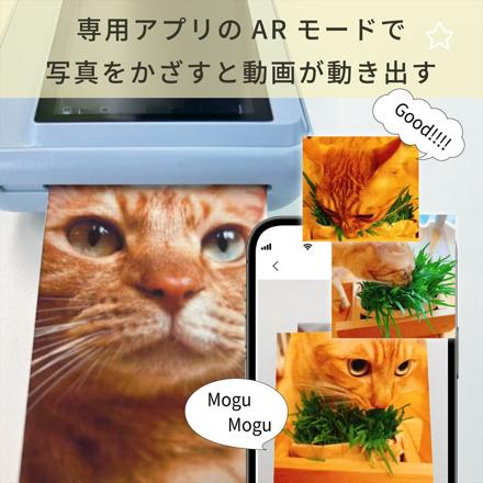 Hanin インスタントカメラプリンター Z2 HN-ICPZ2-BR ブラウン