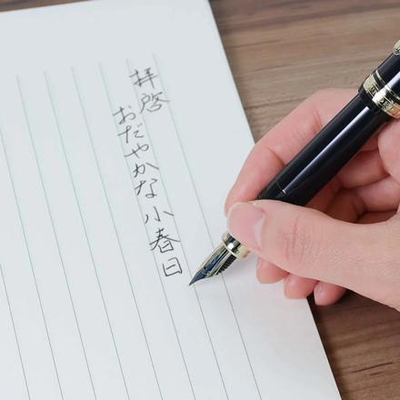 セーラー万年筆 万年筆 プロフィットカジュアルL ステイブル ゴールドトリム 11-0825 クリアブラック 細字