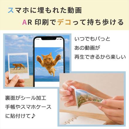 Hanin インスタントカメラプリンター Z2 HN-ICPZ2-BR ブラウン ZINK フォトペーパー付 2点セット