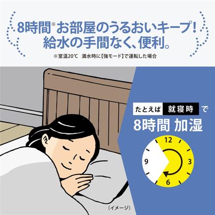 象印 スチーム式加湿器 4.0L EE-DG50 グレー お試し用ピカポット付き