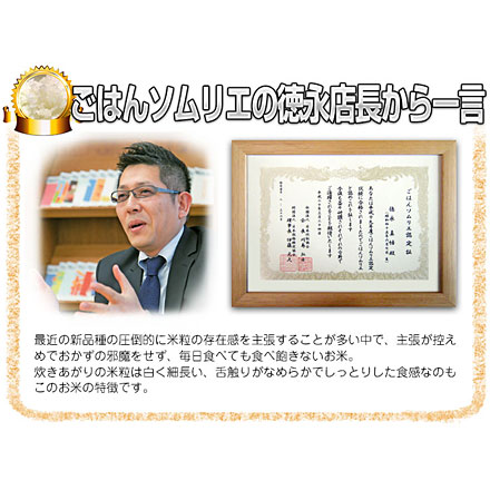 新米 白米 青森県産 青天の霹靂 10kg 2kg×5袋 令和6年産