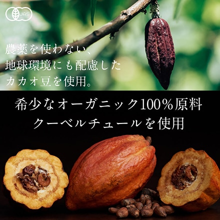 タマチャンショップ オーガニーチョ クランベリー 80g