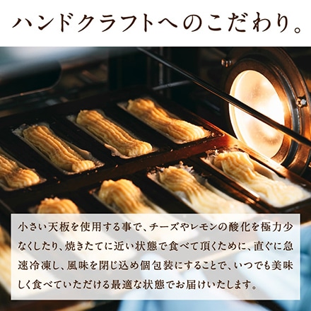 タマチャンショップ 九州チーズタルト 5本×4箱