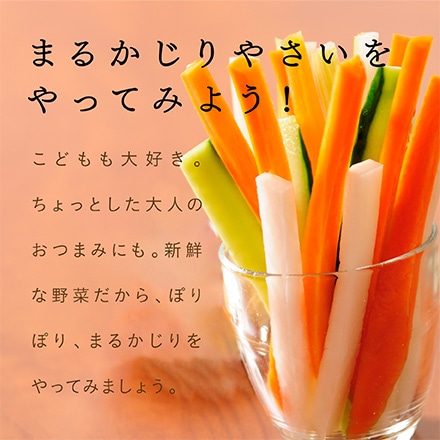タマチャンショップ 九州野菜お試し詰め合わせセット 8品