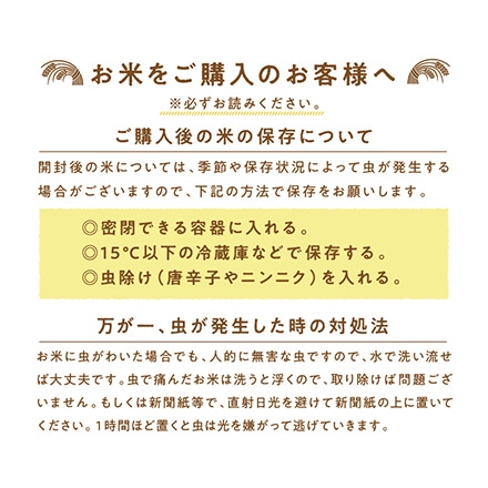 タマチャンショップ 都城ふるさと米 精白米 300g ( 2合 )