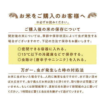 タマチャンショップ 都城ふるさと米 精白米 20kg 令和6年産
