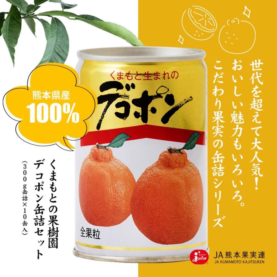 くまもとの果樹園 熊本県産デコポン缶詰 300g×10 D-30