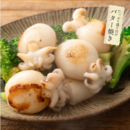 ボイル 甲イカ コウイカ