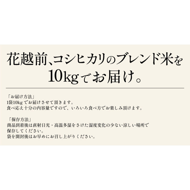 新米 福井県産 花越前 コシヒカリ ブレンド米 10kg 令和6年産