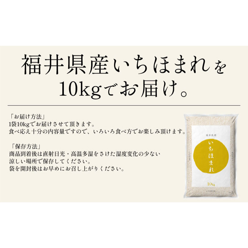 新米 福井県産 いちほまれ 10kg 令和6年産