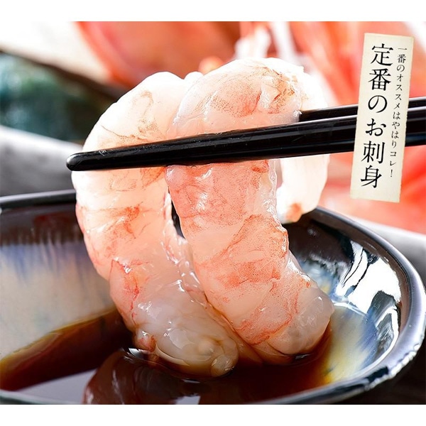 甘えび 子持ち 越前産 特大サイズ 1kg （約60尾入り）