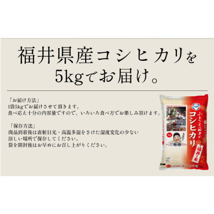 新米 福井県産 コシヒカリ 5kg 令和6年産