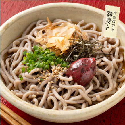 無添加 国産 ねり梅 種類が選べる 140g×2個セット