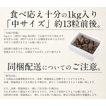 サザエ 中 1kg 天然 （1粒70～80g/約13粒） 福井県産