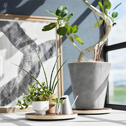 RIN リン インテリア低台車 ラウンド ブラウン 10062