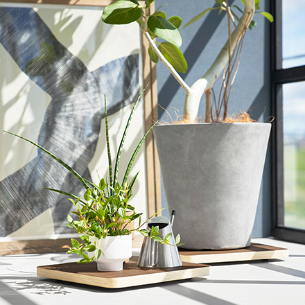 RIN リン インテリア低台車 スクエア ブラウン 10064