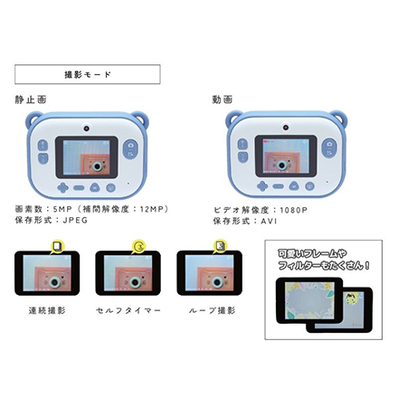 Hoppstar ホップスター アーティスト ブラッシュ