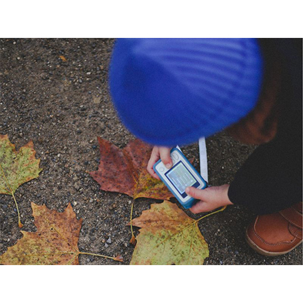 Hoppstar ホップスター ルーキー ブロッサム