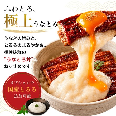 うなぎの刻み 1kg(500g×2pc) 訳あり 刻み カット