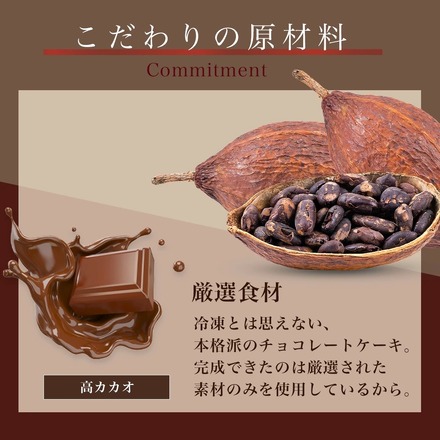 チョコレートムースケーキ 4号 お中元 2026 ギフト 冷凍 スイーツ アンジュブラン監修