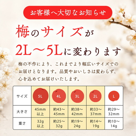 訳あり 塩分3% はちみつ梅 ＆ しそ梅 食べ比べセット 800g