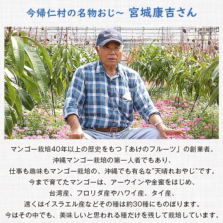 マンゴー 沖縄 完熟マンゴー 贈答用 1kg 2ー3玉 今帰仁村 ギフト あけのフルーツ アップルマンゴー アーウィン種 冷蔵便 同梱不可 指定日不可
