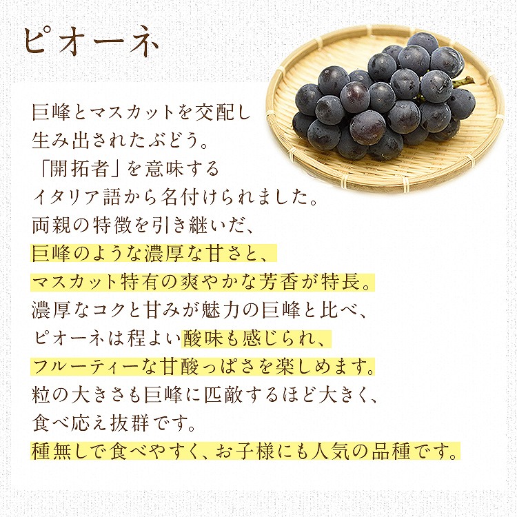 ぶどう ギフト 3種詰め合わせ 3房(1房×3種) 1.2kg シャインマスカット ナガノパープル ピオーネ 秀 産地厳選 贈答用 冷蔵便 同梱不可 指定日不可