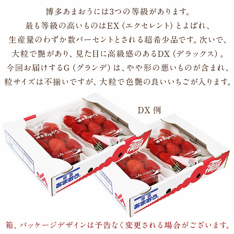 あまおう いちご 福岡 ご家庭用 G 4パック 約1kg (1パック約260g) 博多あまおう 冷蔵便 同梱不可 指定日不可