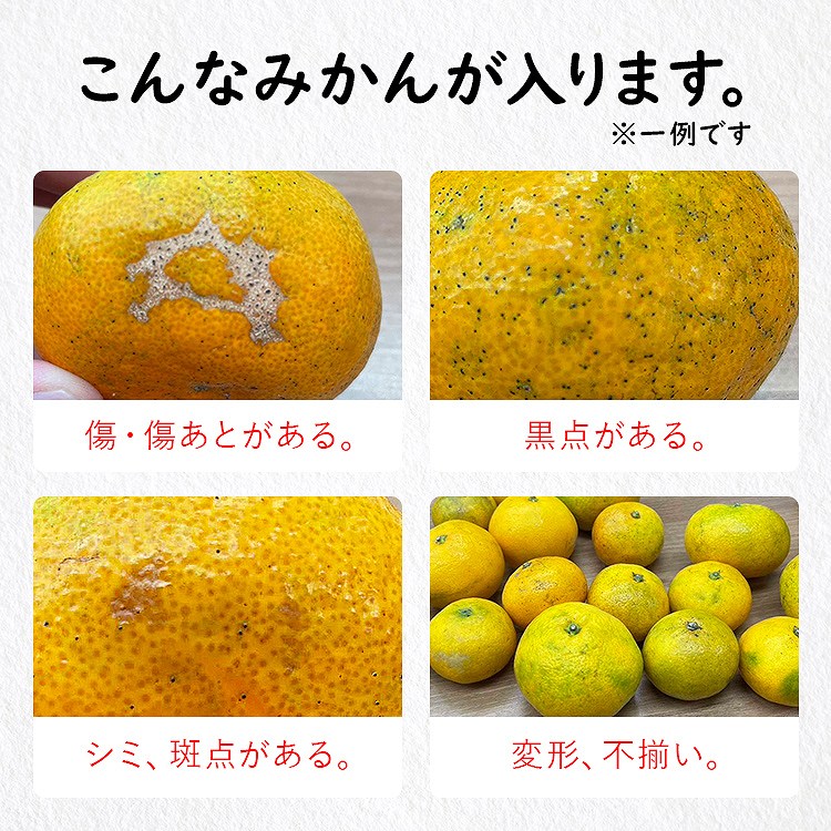 訳あり みかん 6.3kg (6kg+保証分300g程度) 3kgx2箱セット 和歌山県産 早生みかん 温州みかん ミカン 蜜柑 柑橘 わけあり 常温便 同梱不可 指定日不可