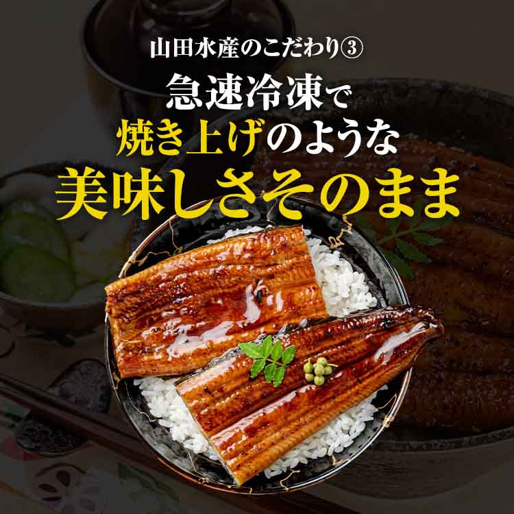 国産 鹿児島県産 うなぎ 無投薬 2尾 ( 約180g×2 )