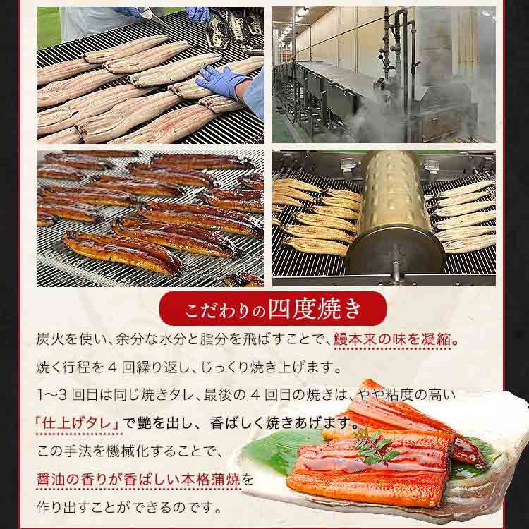 うなぎ 鹿児島県産 2尾 父の日BOX 父の日 125g×2 化粧箱入 国産 蒲焼き 長焼き 無投薬 焼き上げ 無頭 2本