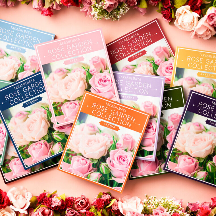 カタログギフト 高島屋 法人事業部 セレクト タカシマヤ ローズガーデンコレクション キーラ