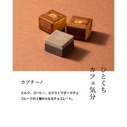 ヴェンキ バロック ギフトボックス クレミノ チョコレート 12個入り