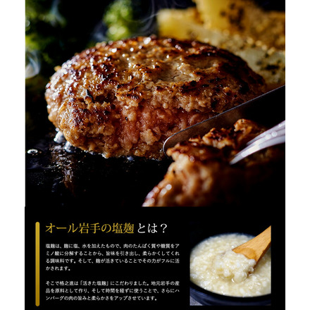 格之進 門崎熟成肉 3種のハンバーグセット 6個入り メーカー直送