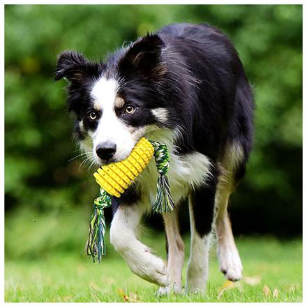 犬噛むおもちゃ corn01 犬噛むおもちゃ イエロー