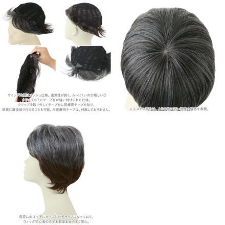 プリシラ 男性用5分ウィッグ レイヤーショート GB-22 TCK/耐熱ショコラブラック
