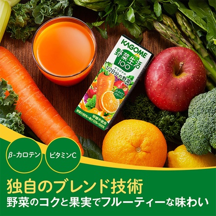 カゴメ 野菜生活100 オリジナル 200ml紙パック×24本入×(2ケース)|野菜ジュース ミックスジュース