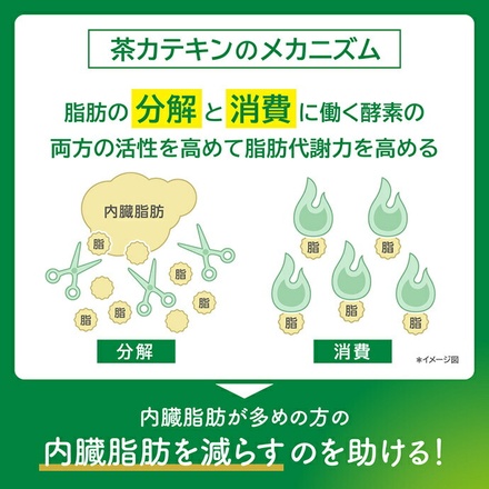 キリン ヘルシア 緑茶【特定保健用食品 特保】 350mlペットボトル×24本入|特保 トクホ 脂肪を消費しやすくする 緑茶 茶カテキン