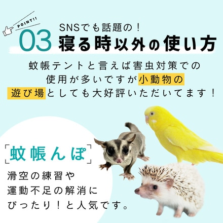 mitas 蚊帳 テント 120×195cm 虫よけ TN-MNTT-BU ブルー