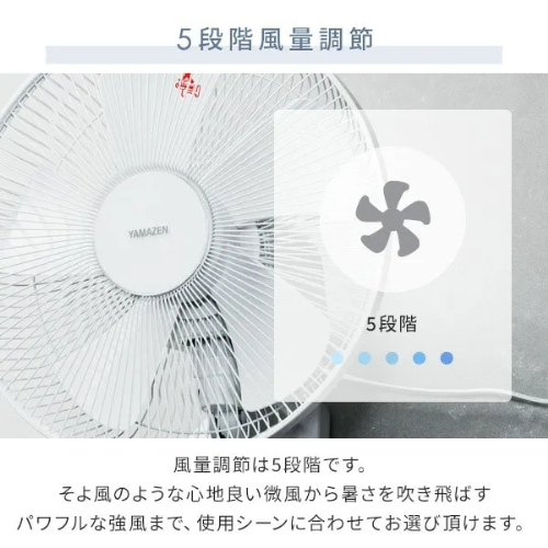 壁掛け扇風機 DCモーター 30cm 上下左右自動首振り 風量5段階 タイマー 山善 YWRX-BGD307(W)