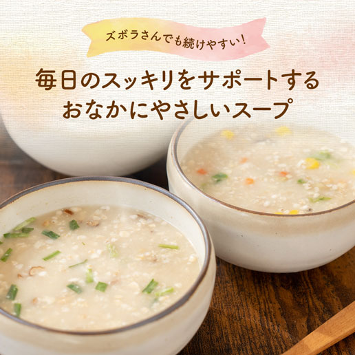 【10包】オートミール入りスープ　野菜とチキンのブイヨン風味