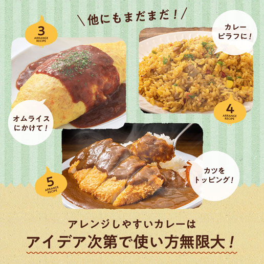 淡路島産玉ねぎカレー 3食セット