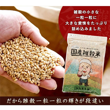 雑穀米本舗 国産 栄養満点23穀米 1.8kg(450g×4袋)