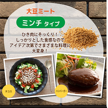 雑穀 雑穀米 国産 大豆ミート(ミンチ) 3kg(500g×6袋)