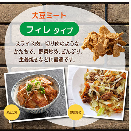 雑穀 雑穀米 国産 大豆ミート(フィレ) 100g